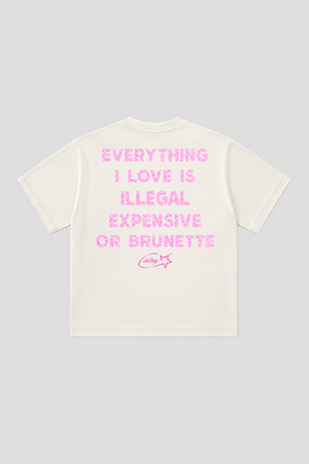 T-shirt Boxy fit  "everything i love is expensive or brunette"