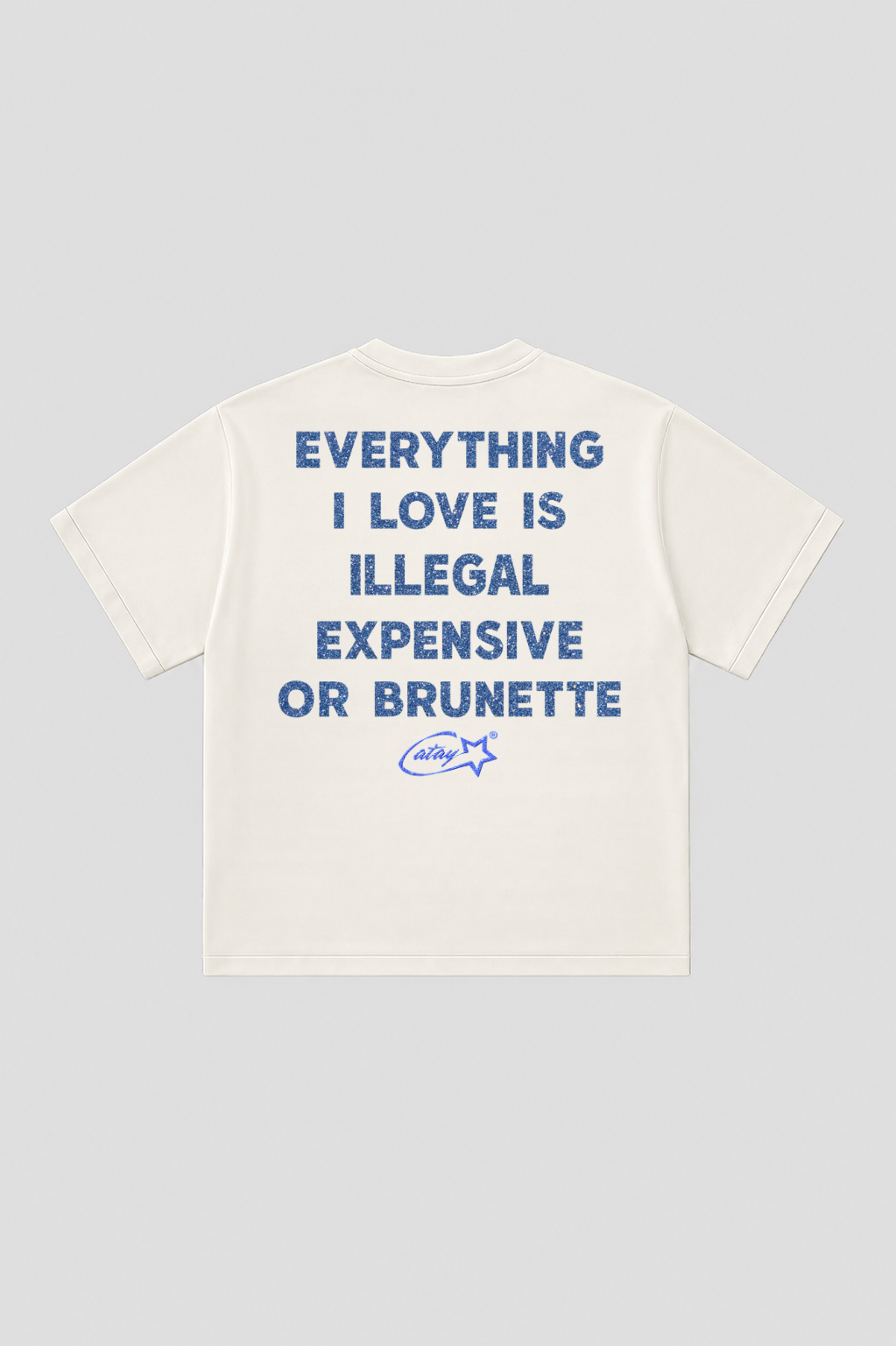 T-shirt Boxy fit  "everything i love is expensive or brunette"