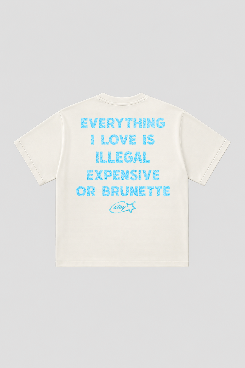 T-shirt Boxy fit  "everything i love is expensive or brunette"