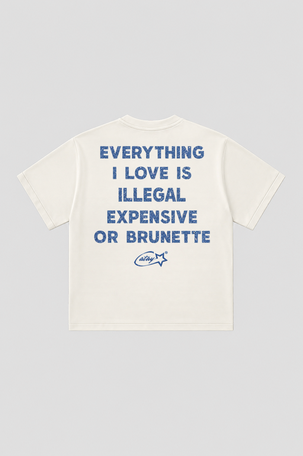 T-shirt Boxy fit  "everything i love is expensive or brunette"